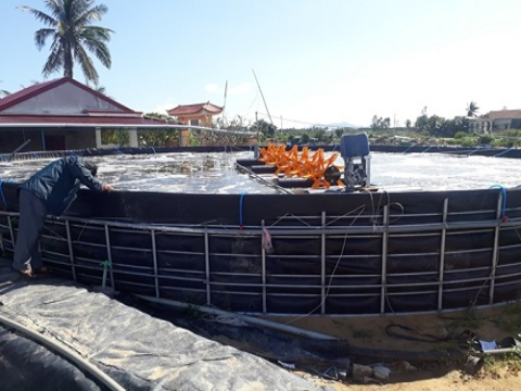 Bình Định phát triển nông nghiệp theo hướng công nghệ cao