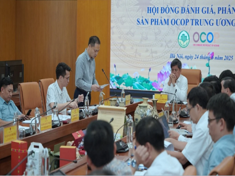 Sản phẩm OCOP đang ngày càng chứng tỏ được vị trí, thương hiệu