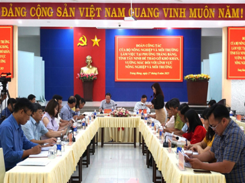 Nỗ lực nâng cao chuỗi giá trị trái cây 