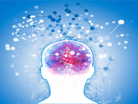 Ăn các loại tinh bột không tốt có thể làm tăng nguy cơ mắc chứng mất trí nhớ