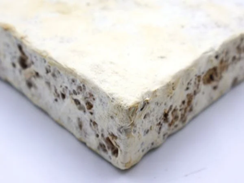 Gạch sinh học từ sợi nấm có thể là tương lai của ngành xây dựng