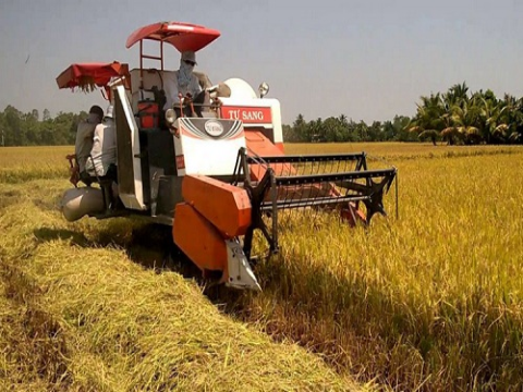 Vĩnh Long: Ứng dụng công nghệ hiện đại, phát triển nông nghiệp