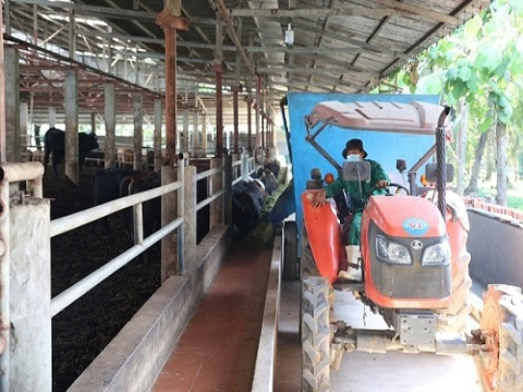 Tây Ninh: Tăng tốc phát triển nông nghiệp công nghệ cao