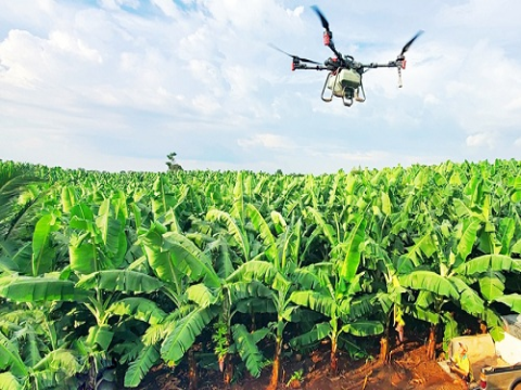 Đồng Nai nhân rộng các mô hình sản xuất nông nghiệp ứng dụng công nghệ cao