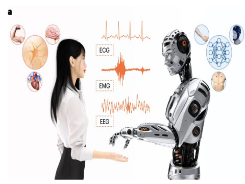 Phần cứng lấy cảm hứng từ não bộ: Mã hóa bằng một xung duy nhất giúp AI vận hành hiệu quả hơn