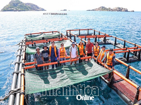 Nông nghiệp ứng dụng công nghệ cao sẵn sàng hội nhập quốc tế