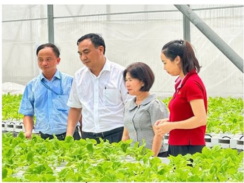 Thành phố Hồ Chí Minh: đẩy mạnh phát triển nông nghiệp công nghệ cao, hướng tới nền nông nghiệp hiện đại và bền vững