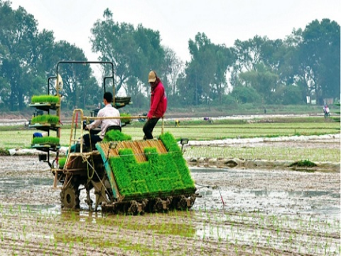 Ứng dụng cơ giới hoá, nâng cao chất lượng, hiệu quả canh tác nông nghiệp