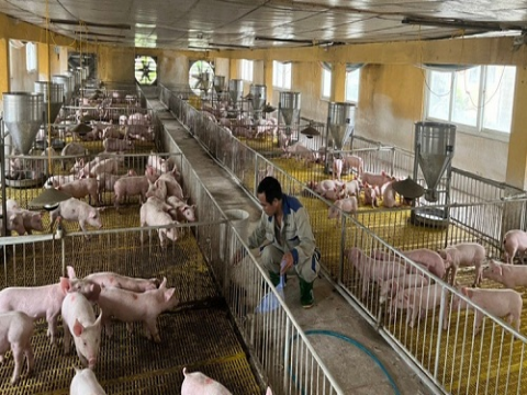 Ứng dụng công nghệ theo dõi, phân tích thị trường sản phẩm nông nghiệp