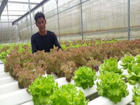 Ứng dụng công nghệ cao mở hướng đi mới cho nông nghiệp xanh Đà Nẵng