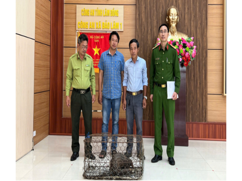 Người dân ở Lâm Đồng tự nguyện giao nộp động vật quý hiếm