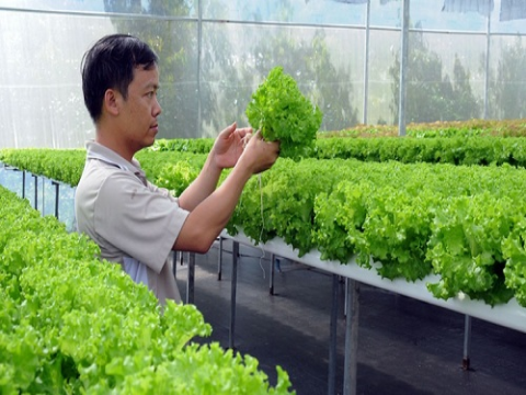 Công nghệ cao tạo đột phá trong phát triển nông nghiệp hiện đại