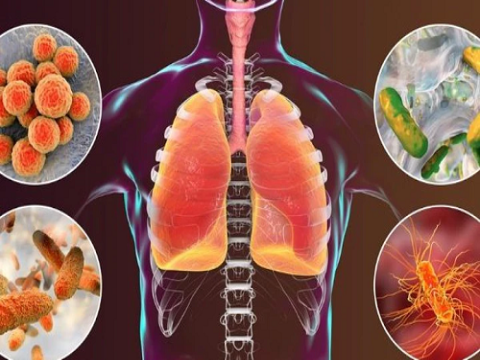 Thực trạng sử dụng kháng sinh trong điều trị viêm phổi cộng đồng ở trẻ từ 2 tháng đến 5 tuổi tại một bệnh viện tỉnh Kiên Giang năm 2024–2025  