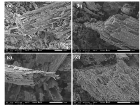 Than sinh học từ phụ phẩm nông nghiệp: Tính chất và tiềm năng ứng dụng trong xử lý kháng sinh