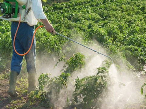 Cảm biến điện hóa phát hiện nhanh dư lượng thuốc diệt cỏ Glyphosate trong môi trường