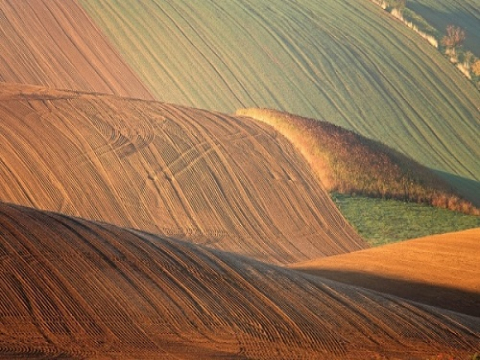 Sử dụng AI để biến dữ liệu đất thành những thông tin hữu ích cho nông dân