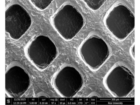 Nền tảng ATLAS được in 3D giúp mô hình hóa các cụm tế bào ung thư gây di căn