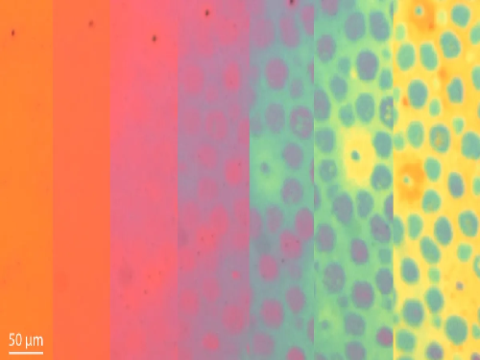 “Vật liệu biến hình” thay đổi màu sắc và kết cấu giống như bạch tuộc