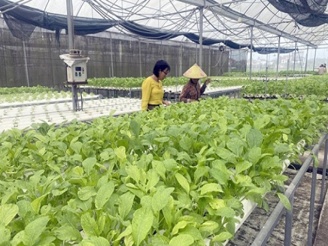 Hà Tĩnh: Xây dựng các mô hình trình diễn kỹ thuật, chuyển giao công nghệ trong lĩnh vực nông nghiệp