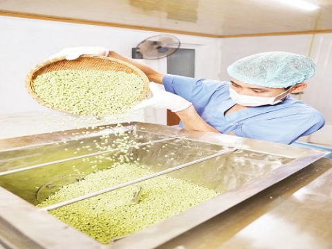 Nông nghiệp công nghệ cao “mở đường” tăng trưởng