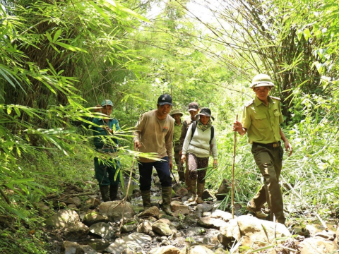 Phát huy vai trò của tổ cộng đồng trong bảo vệ, phát triển rừng