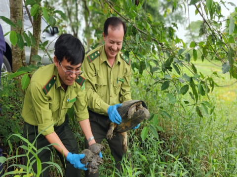 Nâng cao hiệu quả quản lý động vật hoang dã ở An Giang