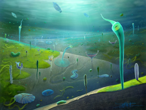 Khám phá hóa thạch mới: Viết lại dòng thời gian sự sống phức tạp trên Trái Đất