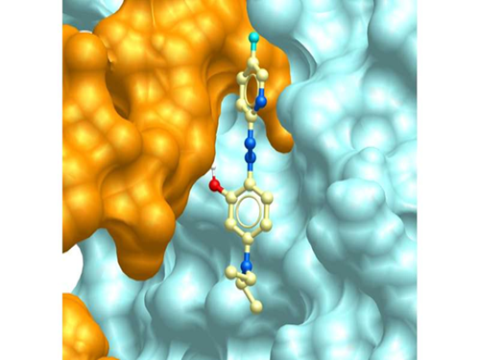 Các phân tử tiên tiến giúp giảm viêm mà không ảnh hưởng đến hệ miễn dịch
