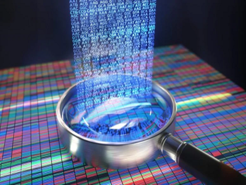 DNA gặp điện tử: Các nhà khoa học tạo ra bước đột phá về bộ nhớ năng lượng cực thấp