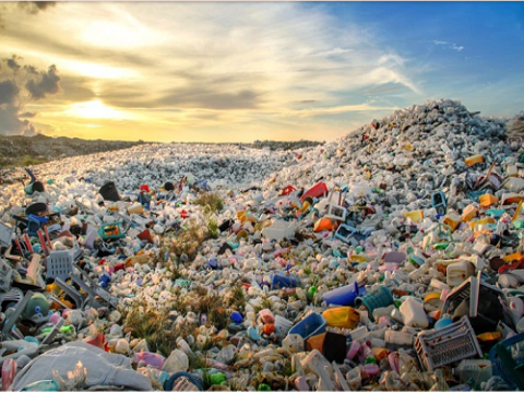 Thiết kế sinh thái: Giải pháp tuần hoàn nhằm thực thi Thỏa thuận toàn cầu về ô nhiễm nhựa