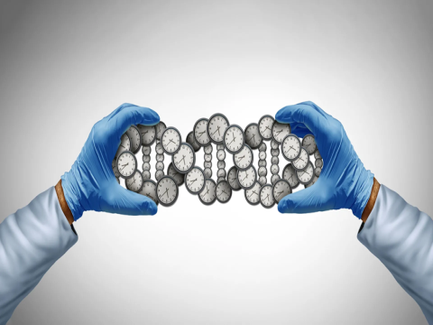 Gen có thể chiếm khoảng một nửa sự khác biệt về tuổi thọ của con người 