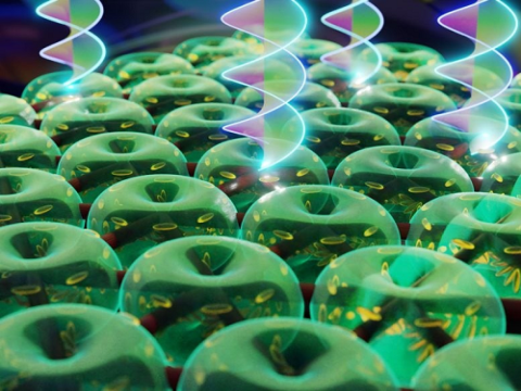 Các nhà khoa học tạo ra “Lốc xoáy quang học” xoắn ánh sáng vào một xoáy xoáy