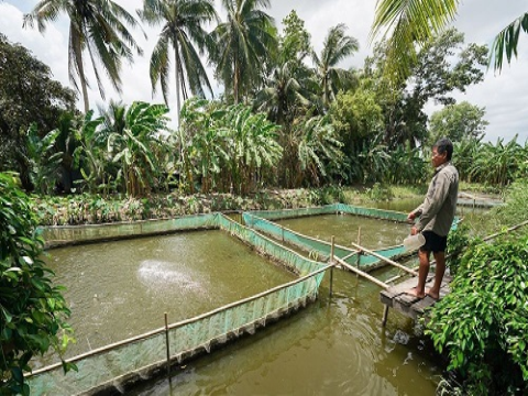 Chủ động trữ nước ngọt trước nguy cơ xâm nhập mặn gia tăng