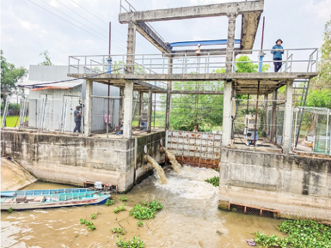 Tiết giảm chi phí để vụ lúa hè thu đạt hiệu quả