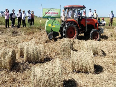 Khuyến khích nông dân tận dụng rơm rạ tái sản xuất, hạn chế đốt bỏ