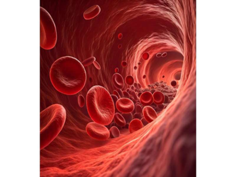 Thuốc chống đông máu mới giúp giảm nguy cơ đột quỵ mà không gây thêm chảy máu