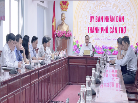 Cần Thơ lên phương án duy trì xe buýt, từng bước chuyển sang giao thông xanh