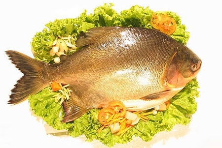 cá, sức khỏe, lợi ích, rủi ro, axit béo Omega-3 cá, sức khỏe, lợi ích, rủi ro, axit béo Omega-3