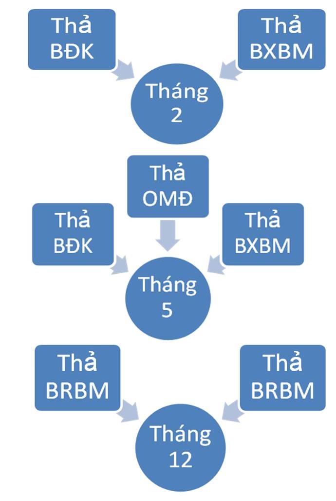 thiendichsauhai6