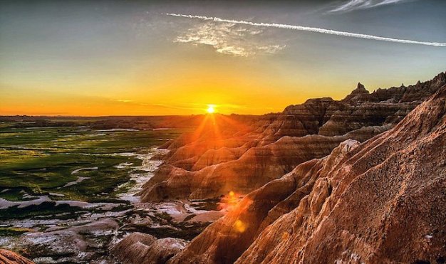 Bầu trời về đ&ecirc;m lấp l&aacute;nh &aacute;nh sao tr&ecirc;n một c&aacute;nh đồng - Ảnh: Daily Mail