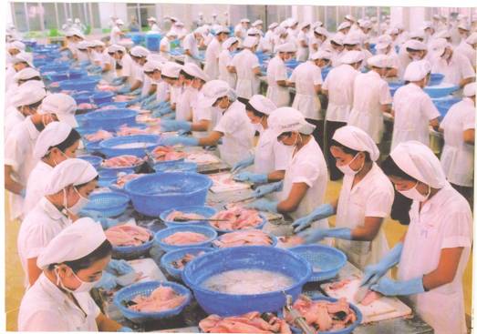 Chế biến thủy sản là một trong những ngành ưu tiên áp dụng công nghệ cao.
