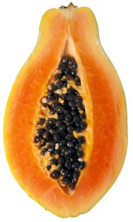 dudu-1372994363_500x0.jpg