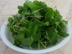Các bài thuốc điều trị viêm gan 1 Các bài thuốc điều trị viêm gan 1