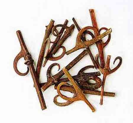 D&acirc;y m&oacute;c c&acirc;u 2