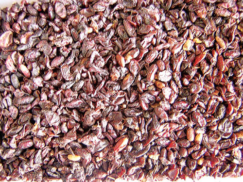 B&agrave;i thuốc chữa suy nhược 4