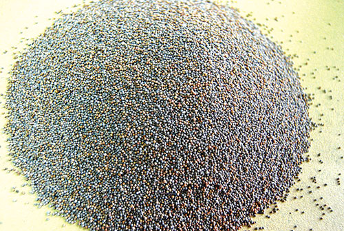 B&agrave;i thuốc chữa suy nhược 5