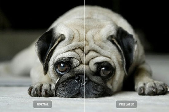 10 lỗi cần tr&aacute;nh trong nhiếp ảnh