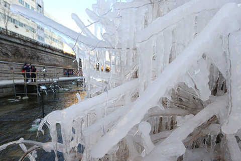 Tại H&agrave;n Quốc, kh&ocirc;ng cần đến v&ugrave;ng n&uacute;i, ngay giữa thủ đ&ocirc; Seoul, c&acirc;y cối cũng đ&oacute;ng th&agrave;nh băng khi nhiệt độ giảm xuống chỉ c&ograve;n -13 độ C. 