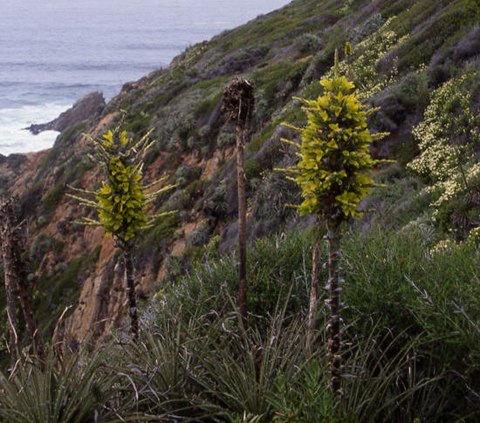 Số lượng c&acirc;y