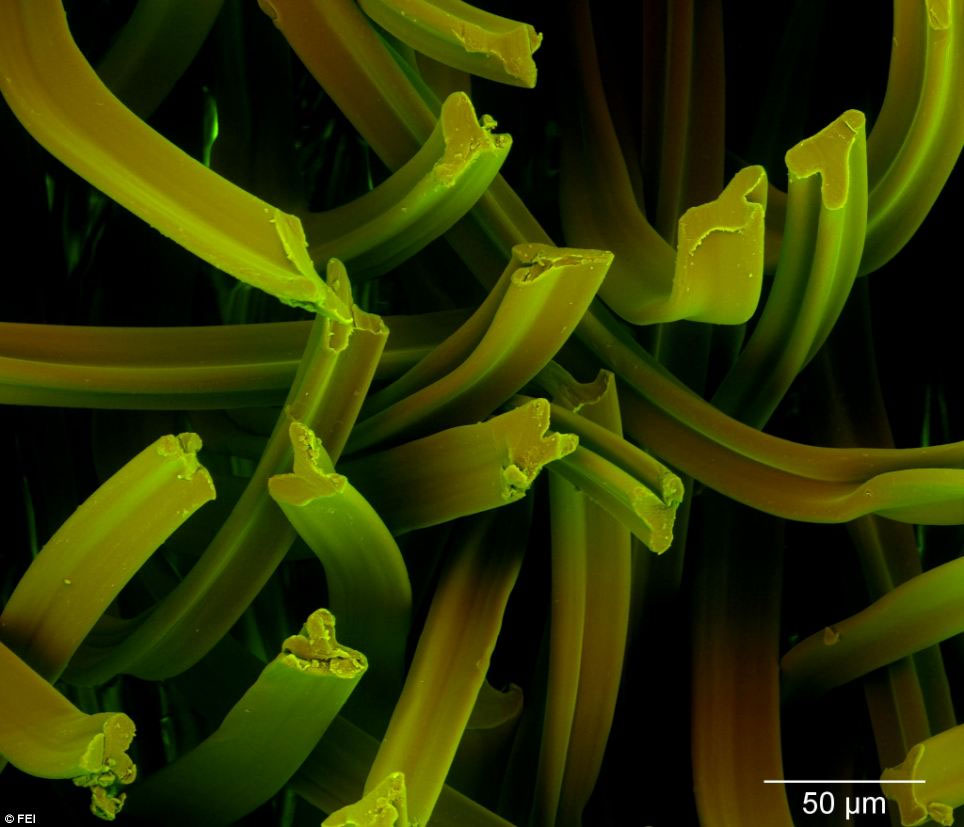 Vẻ đẹp b&iacute; ẩn thế giới v&ocirc; h&igrave;nh